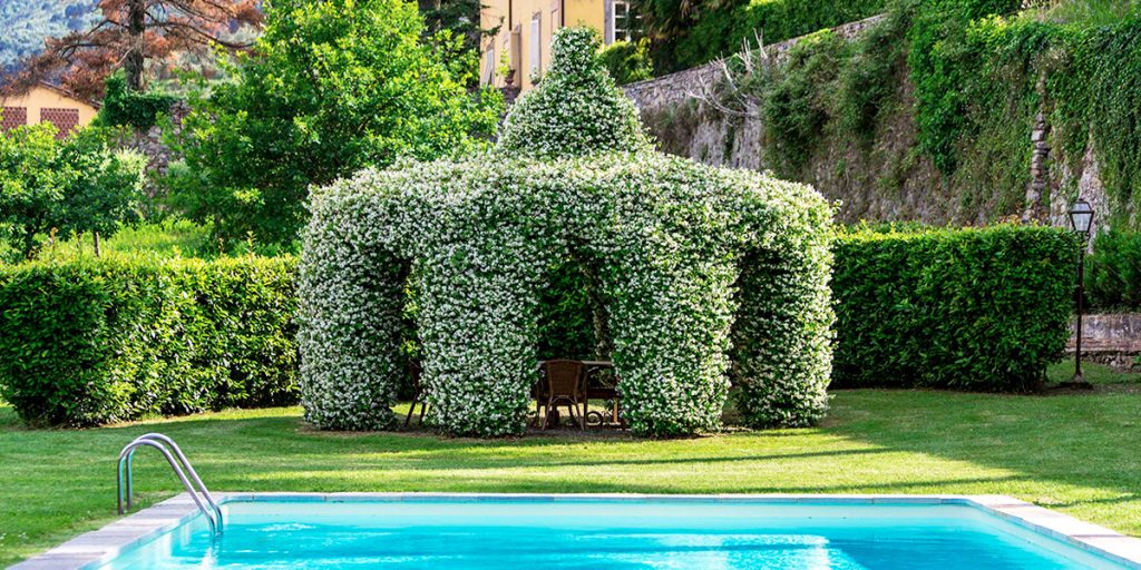 Casa Matteucci 04