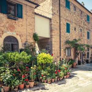 tuscan guided tours bolgheri 03