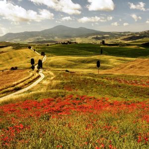 tuscan guided tours chianti 03