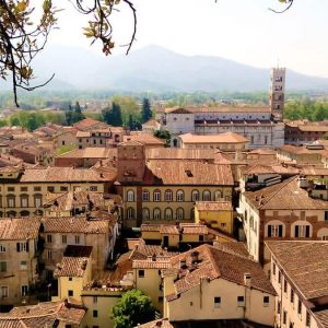 tuscan guided tours montecarlo 01